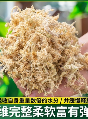 垫材兰花花苔石斛优质蝶兰干用水乌龟土种植专苔藓蝴爬宠青苔天然