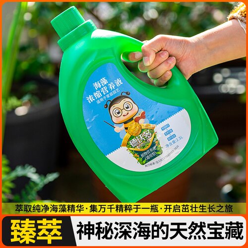 柠营养栽檬树树苗柠檬肥料肥果树植物花肥盆专用液青有机复合养花