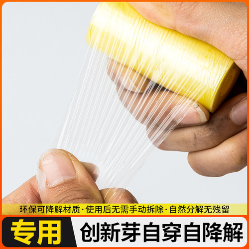 月季免膜接树拆分解嫁接