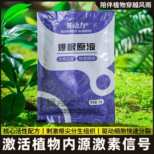 强长壮苗生根力促发财加速原液液剂树生根果树盆栽移栽花卉插爆扦