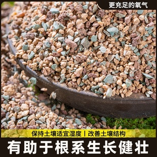 土石生长铺面石子营养兰颗粒种植养花石彩虹土颗粒专用多肉花盆栽