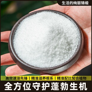 酸性磷酸亚铁硫酸硫酸专用氢钾亚盆栽栀子花肥料营养养料二黄叶液