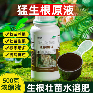 生根复活扦插素弹子溶肥水专用根剂强力活力金猛爆粉营养壮苗原液