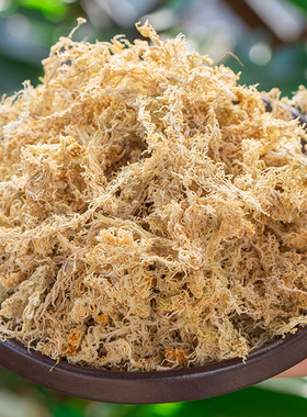 苔藓蝴青苔铺面土种植石斛水苔营养兰花专用蝶兰干兰花土专用土球