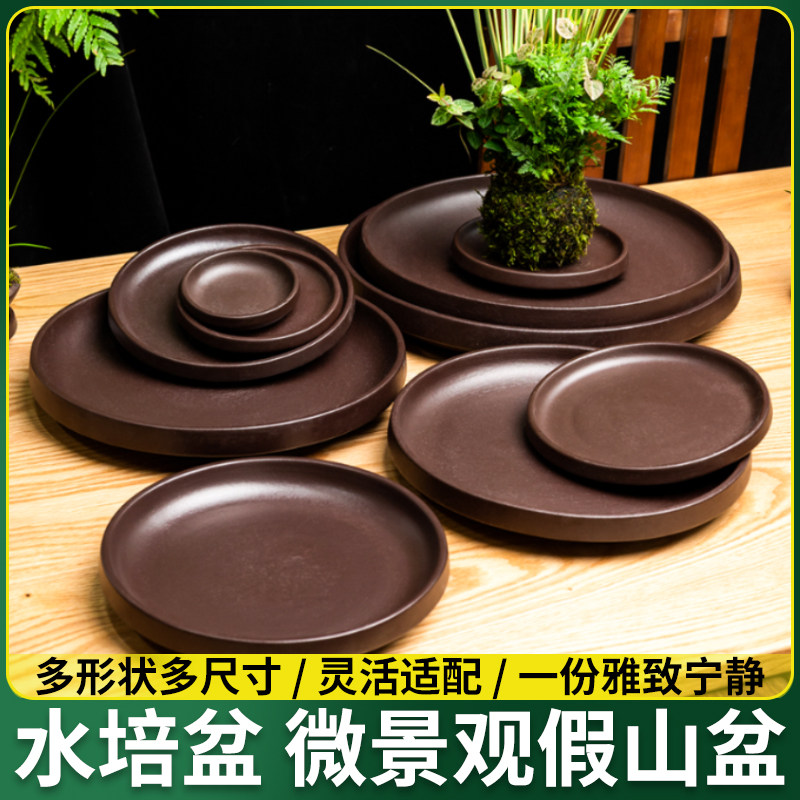 接水木底座植物陶瓷巴西木创意专用砂陶盘紫盘花盆拖盘多肉幸运