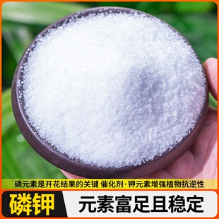 黄叶养料酸性调节肥料二盆栽硫酸氢钾营养专用土磷酸栀子花亚铁液