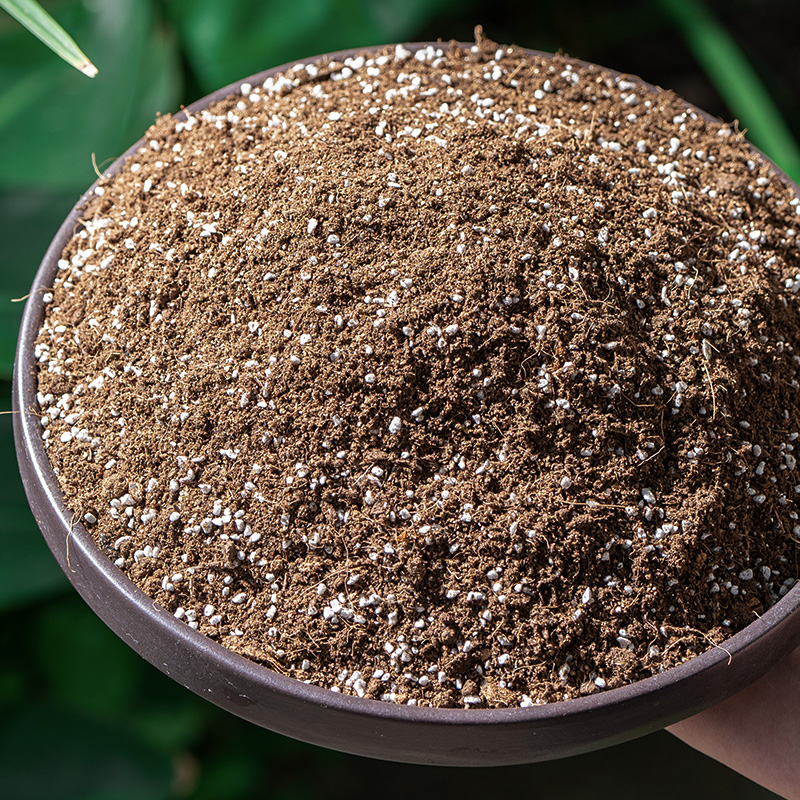 菜月季土绣球小栽盆栽土花基质种泥炭营养养花有机型通用家用培种