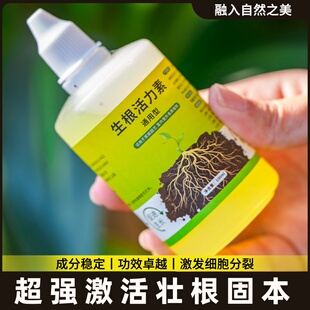 苗复活素树活力生根移栽营养型通用肥料大树强力安全液树木果树