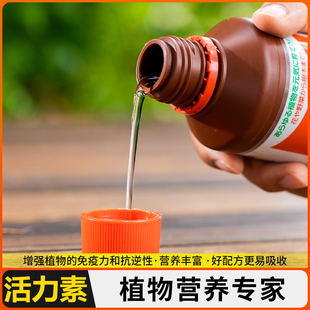 生根美水活力促根发芽长根通高效能露爆芽植物素服盆发根增色介质