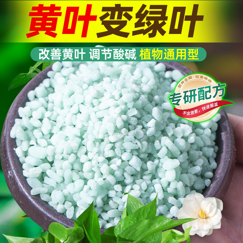 亚铁亚花用硫酸酸性硫酸农用磷酸铁栀子花果树酸性花花卉肥料茉莉