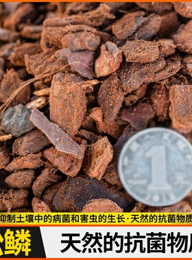 奥科兰花特松腐熟树皮松磷植料发酵进口树皮土Orchiata新西兰营养