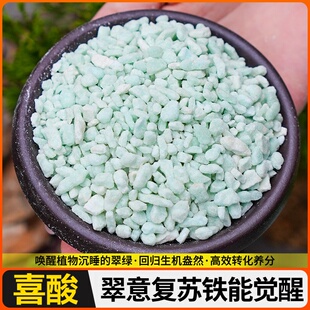 花卉亚硫酸专用铁肥杜鹃花栀子花茉莉花用通用补肥料花肥铁型酸性