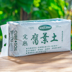 真专用正腐殖橡叶橡叶树叶君子兰土腐营养种植土松叶东北酸性兰花