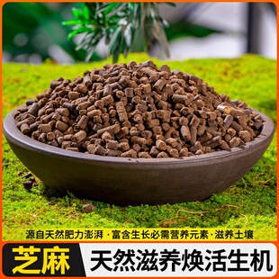 盆花有机饼肥栽肥养菜籽花卉发酵芝麻专用料豆种菜饼肥料肥饼肥料