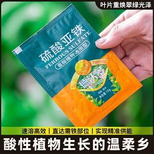 花植物铁茶花酸性伴侣柠檬酸酸性专用亚硫酸栀子茉莉花养花用肥料