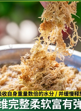 兰干透气水苔蝶兰苔藓营养青苔石斛专用花蝴水台苔土乌龟种植植料