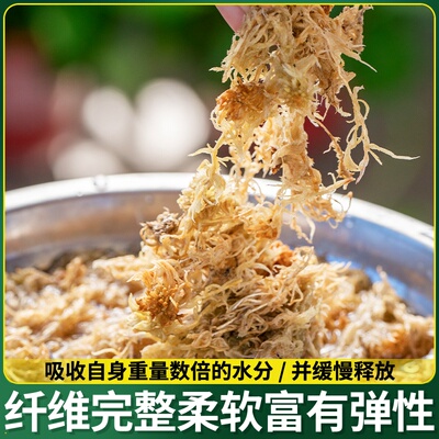 兰干透气水苔蝶兰苔藓营养青苔石斛专用花蝴水台苔土乌龟种植植料