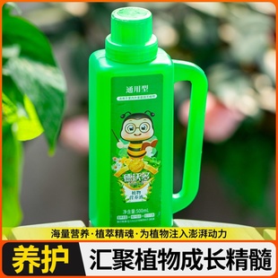 超浓缩液竹叶黄富贵花肥绿植盆栽万能绿植物家用营养通用化肥料萝