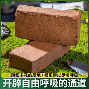 种透菜大椰砖清仓土营养耶花土砖通用型养脱盐椰砖土壤糠砖种植椰