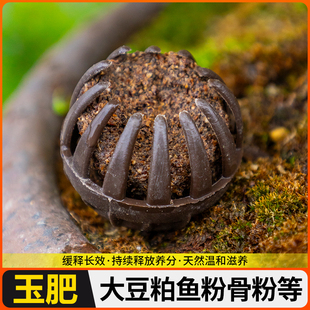 肥大粒玉花卉包盆景松柏小粒肥日本肥料邮送原装特价肥盒进口缓解