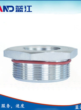 蓝江 PG牙与G牙不锈钢变径环304金属补芯增安格兰缩径环缩减环
