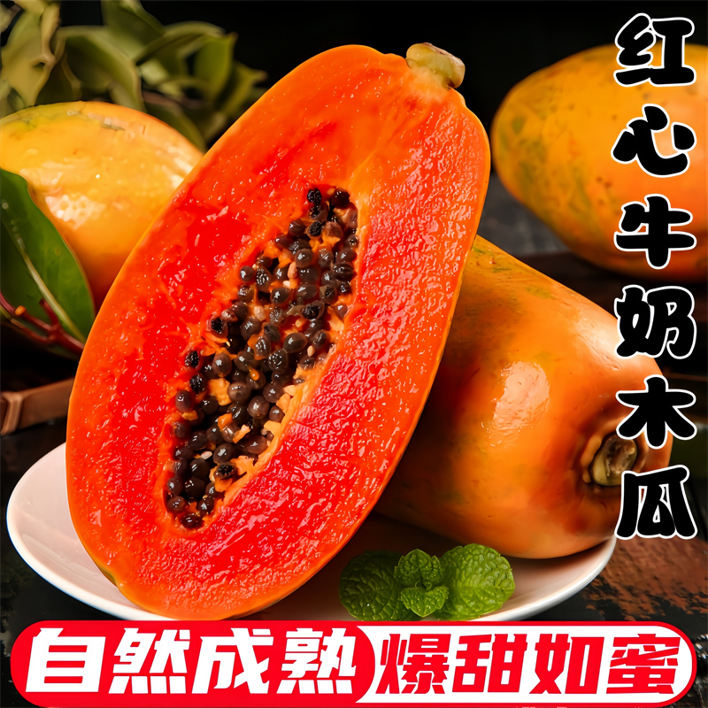 红心木瓜树上自然成熟爆甜多汁