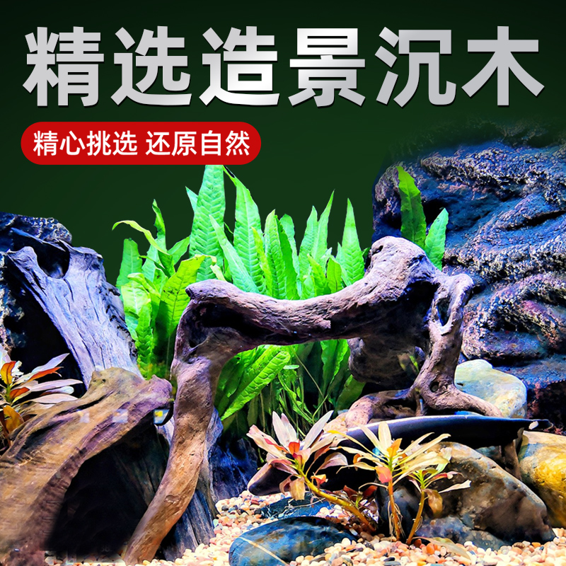 精品栖根小型沉木造景杜鹃根
