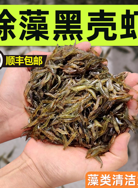 黑壳虾除藻清洁工具虾大号去绿藻黑藻去苔宠物虾鱼活体饲料观赏虾