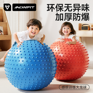儿童感统训练大龙球幼儿早教触觉平衡前庭婴儿哄睡大号瑜伽球家用