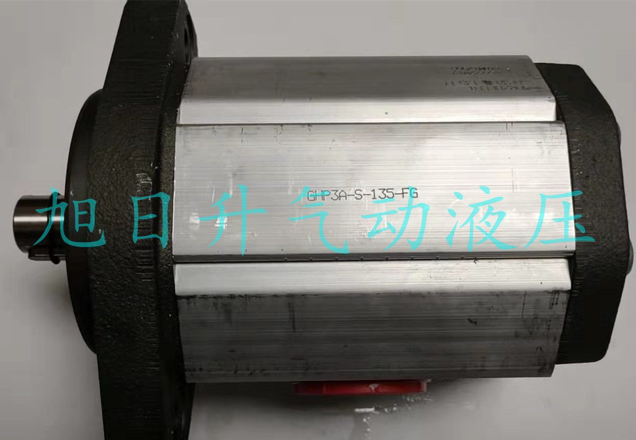 马祖奇MARZOCCHI齿轮泵GHP3A-S-135-FG液压齿轮油泵意大利进口