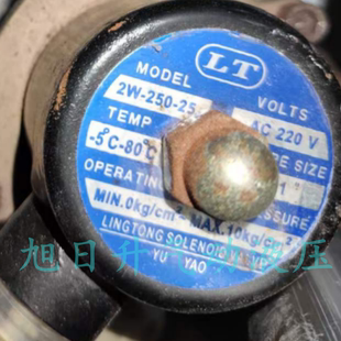 LT电磁阀二位二通水阀ZS-160-15 AC220V 黄铜2W-160-15  AC220V