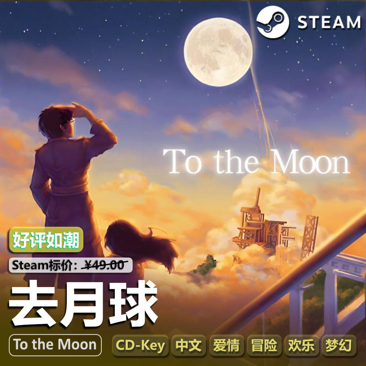 去月球(To the Moon)steam正版PC游戏CDKEY激活码国区中文爱情 - 实物图