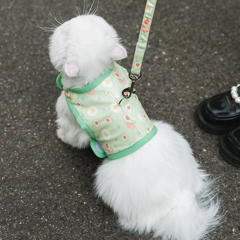 猫咪牵引绳背心式防挣脱外出小型犬狗狗牵引带遛猫夏季外出宠物绳,宠物/宠物食品及用品,猫牵引绳,淘宝优惠券,粉丝福利购,淘宝优惠卷