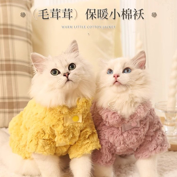 猫咪衣服秋冬保暖冬季宠物德文猫咪衣服秋冬款无毛猫衣服冬天加厚,宠物/宠物食品及用品,猫宠物服装/雨衣（新）,淘宝优惠券,粉丝福利购,淘宝优惠卷