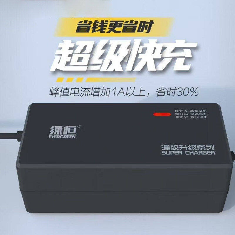 绿恒灌胶防水铅酸电池充电器图片