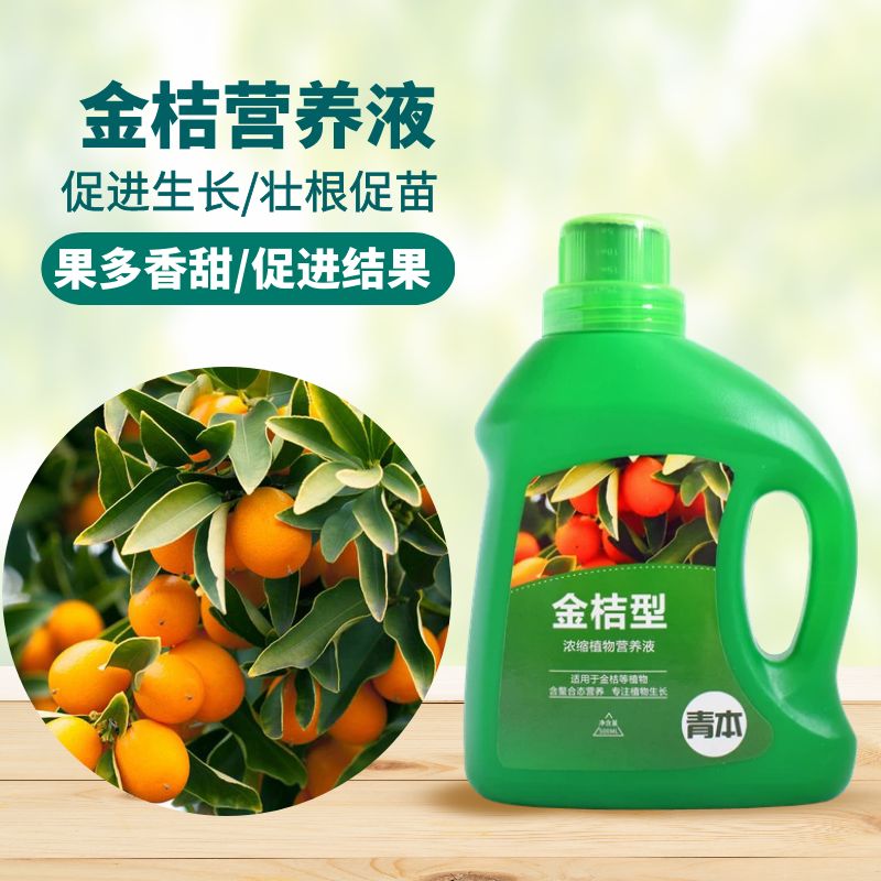 青本金桔专用型营养液