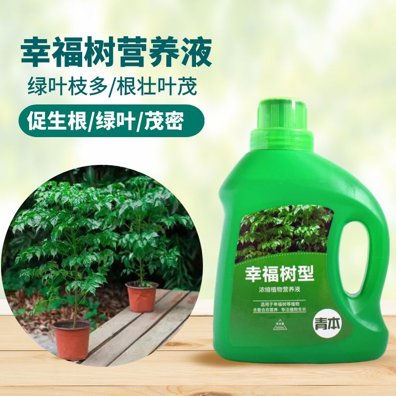 青本幸福树专用营养液