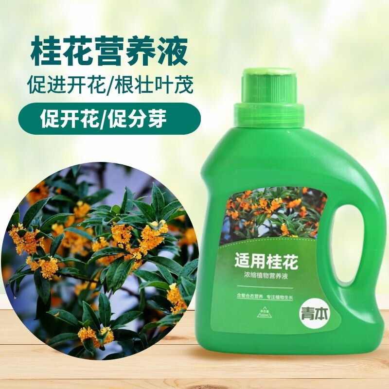 青本桂花型专用营养液