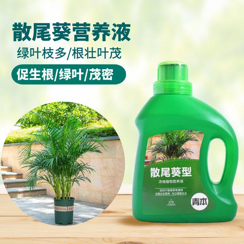 青本散尾葵专用营养液
