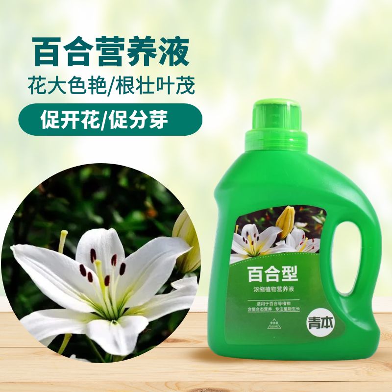 青本百合花专用营养液