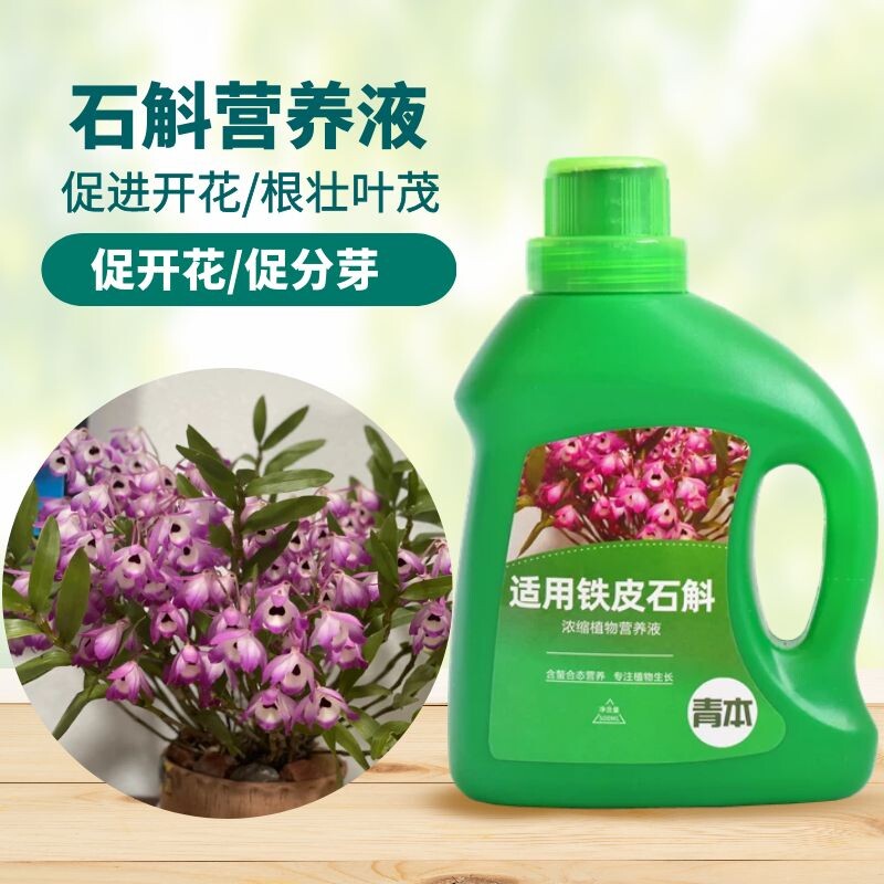 青本铁皮石斛专用营养液
