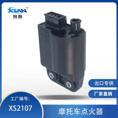 比亚乔一体点火器Piaggio Vespa 58095R 246010102 00G03310171