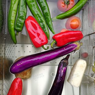 *经济款果蔬气泡清洗机 青菜生菜鼓浪清洗去泥机 去农残洗菜机