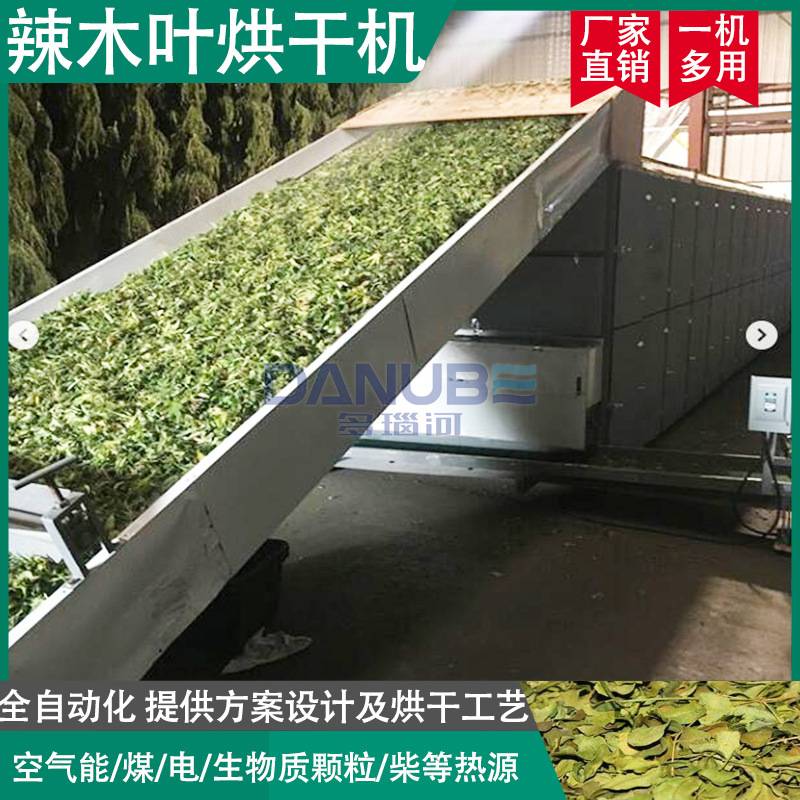 印度辣木叶烘干机 全自动鼓槌树辣木籽烘干设备 大型辣木根干燥机