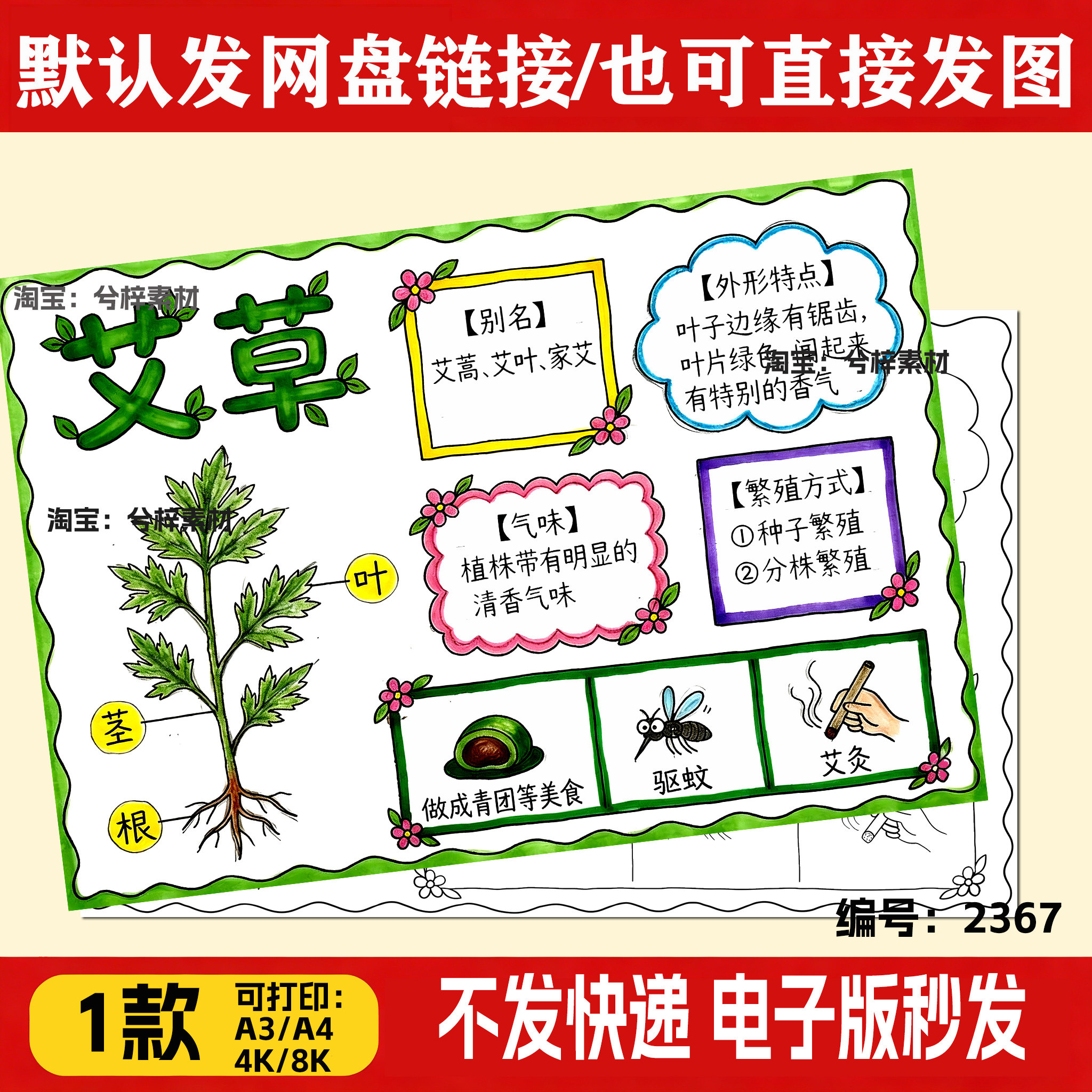 中草药艾草手抄报模板小学生植物名片画艾草艾叶中药电子版模板