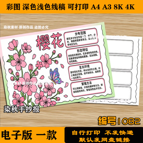 樱花植物记录卡手抄报小学生观察记录卡植物名片模板电子版线稿