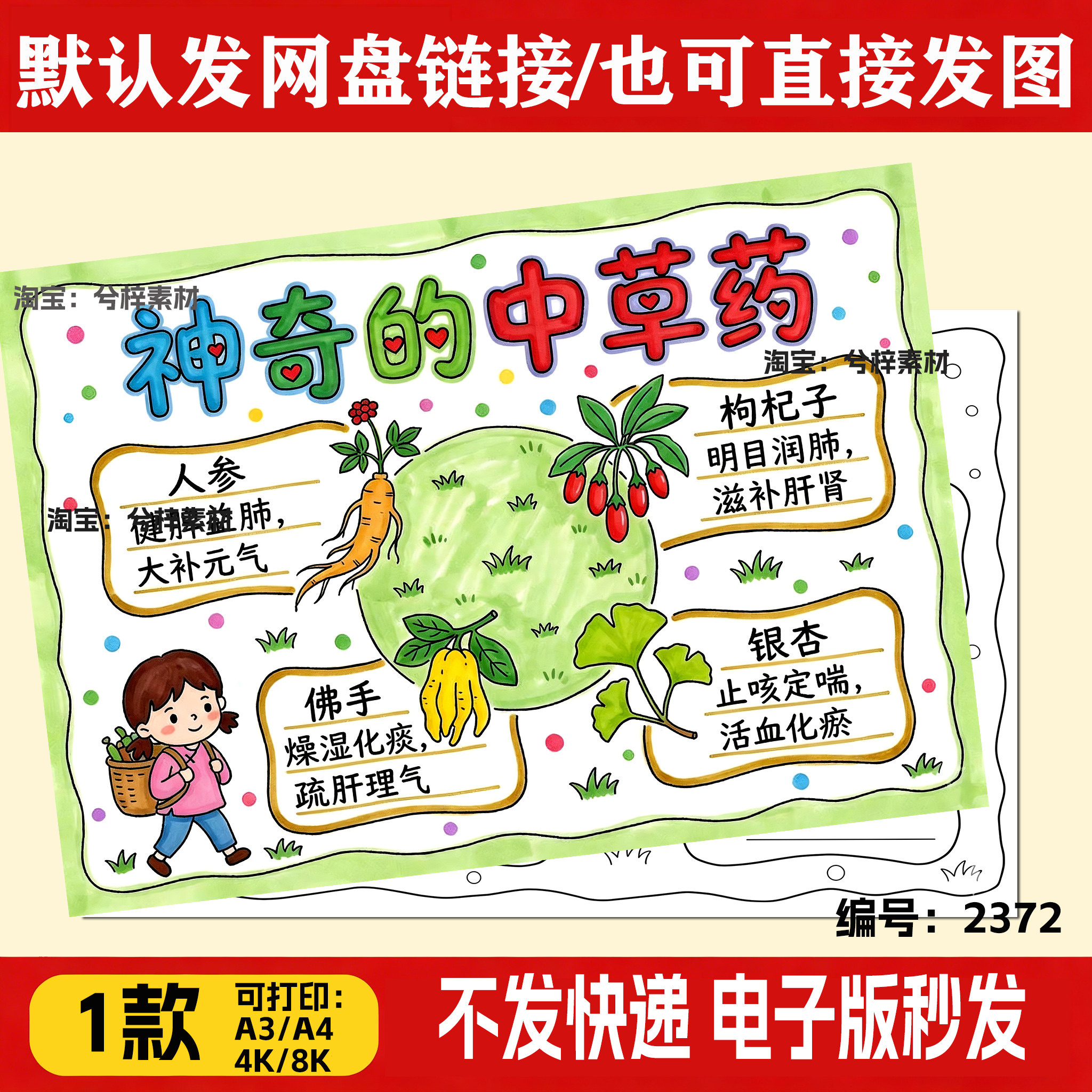 中草药手抄报半成品涂色8k神奇中药文化电子版可打印小学生小报