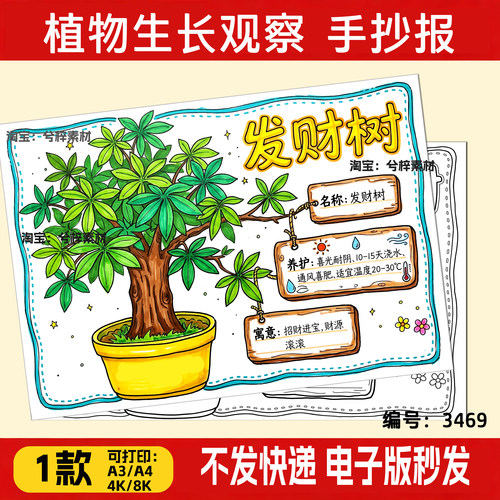 发财树生长记录手抄报语文植物小报4K8K黑白线稿涂色模板素材