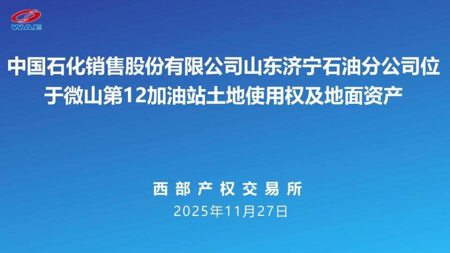 1月26日济宁石油公司加油站土地使用权及地面资产网络拍卖公告