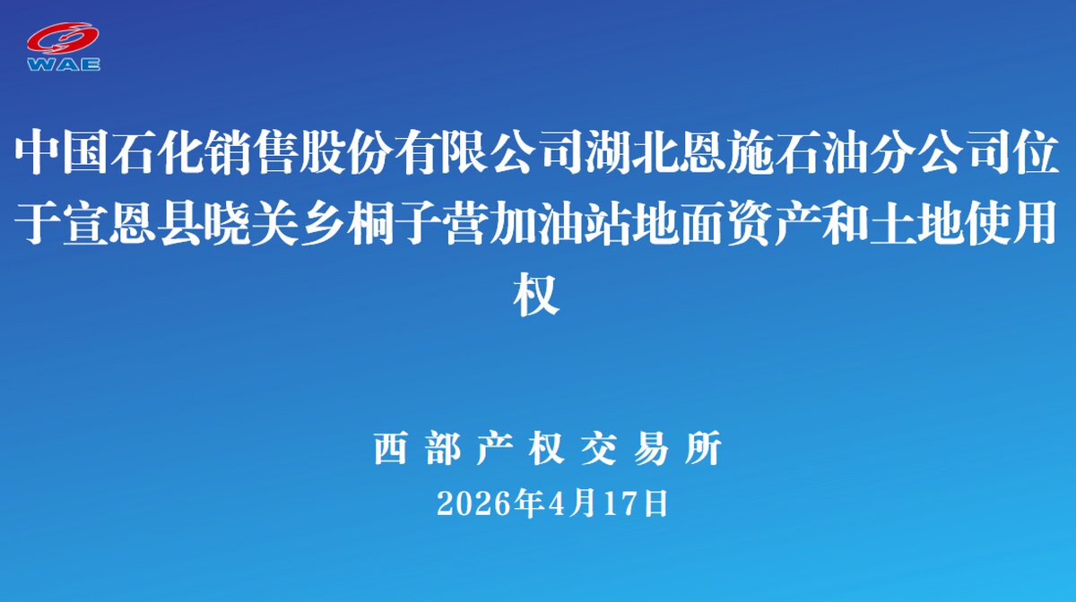 4月27日恩施石油公司加油站地面资产和土地使用权网络拍卖公告